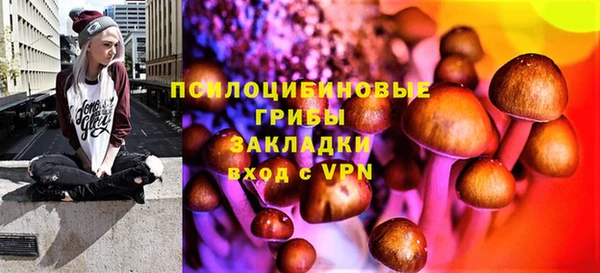 СК Магас