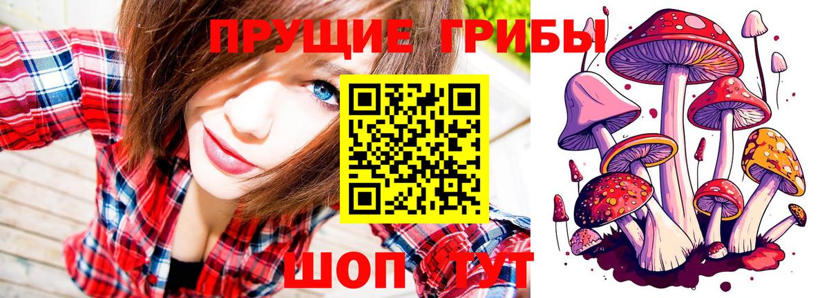 Калач-на-Дону  Псилоцибиновые грибы MAGIC MUSHROOMS  Вход с VPN  Псилоцибиновые грибы мухоморы 