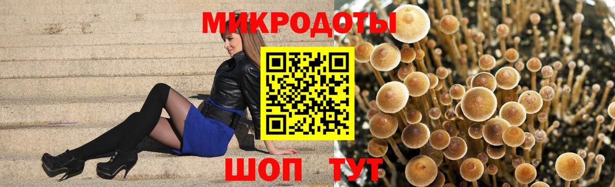 Псилоцибиновые грибы MAGIC MUSHROOMS Калач-на-Дону